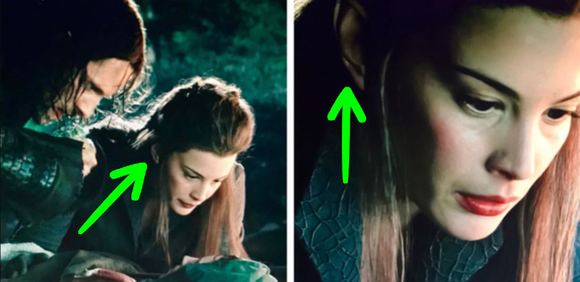 Arwen y sus orejas