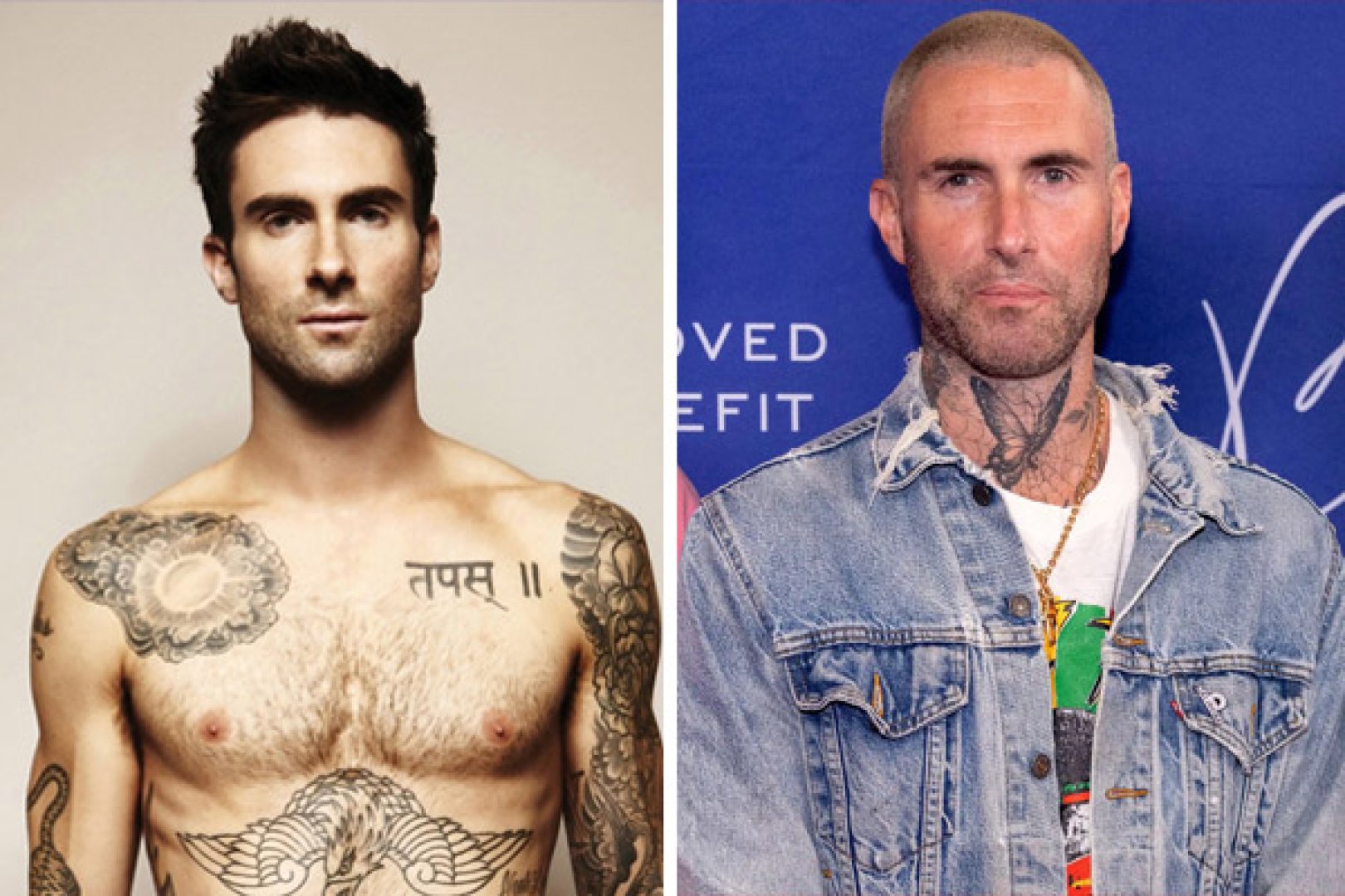 Adam Levine (2013)