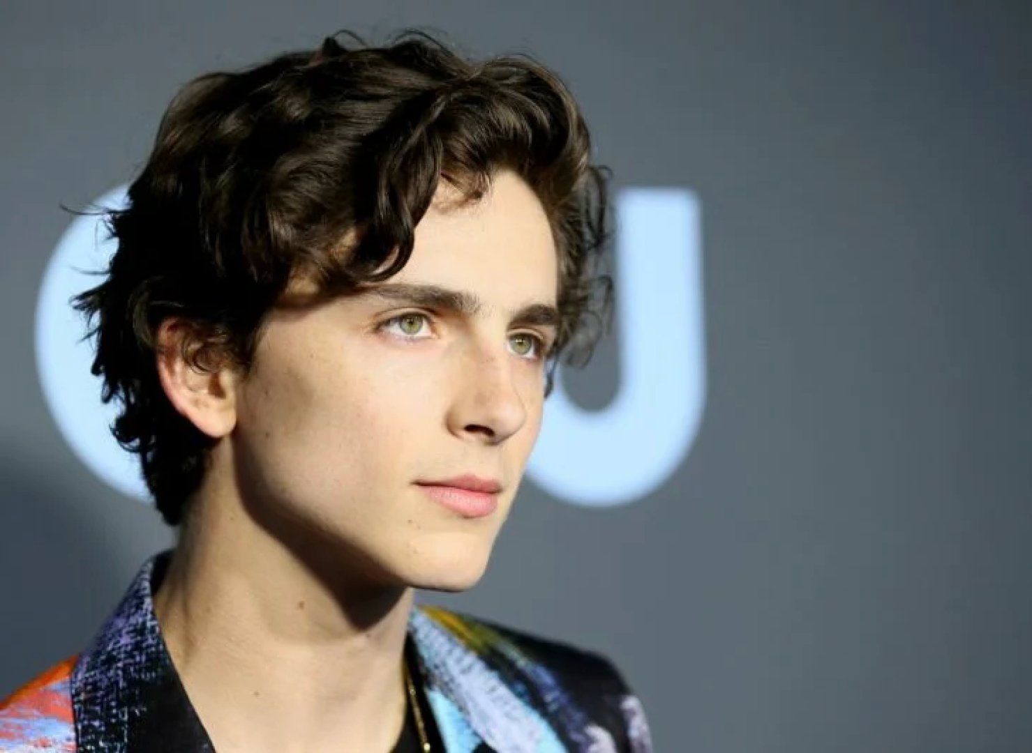 Timothee Chalamet